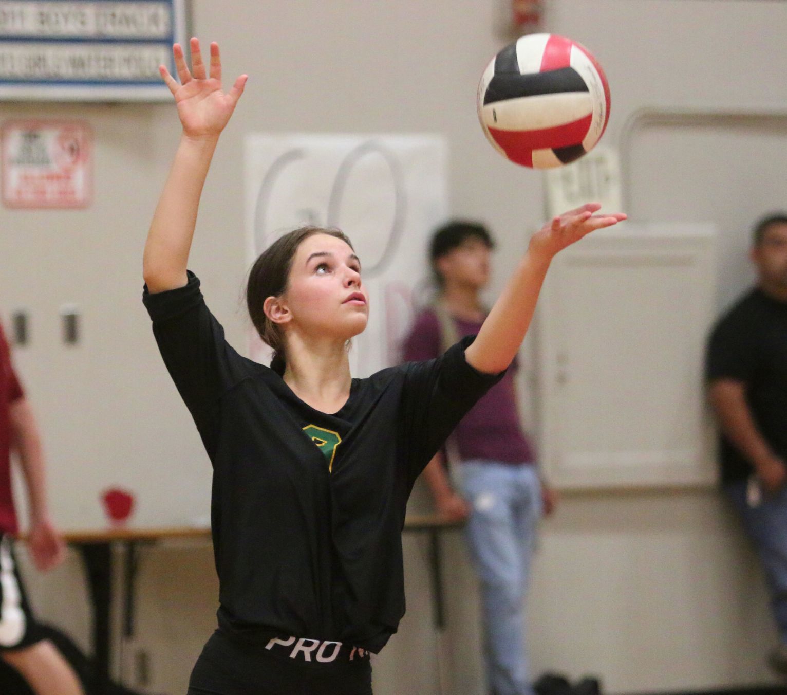 Golden Bears open season with victory over Bullpups
